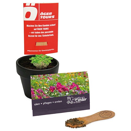 Bâtonnet de graines - Mélange de fleurs d'été Bâtonnet de graines - Mélange de fleurs d'été