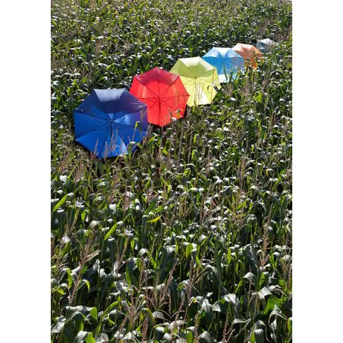 Parapluie golf automatique Andy