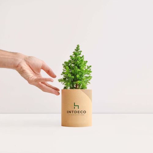 TREETUBE albero/arbusto