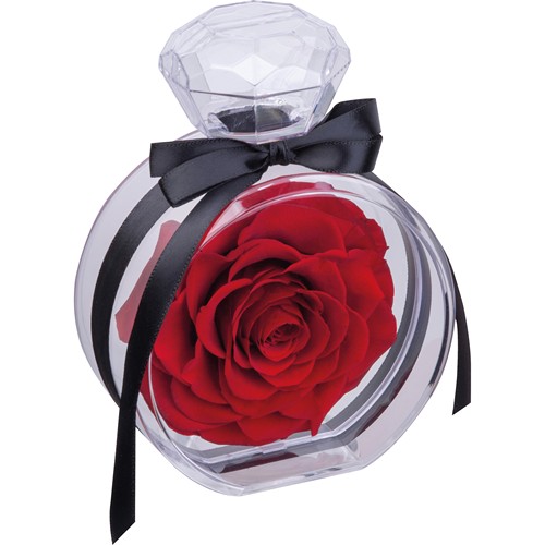 Preserved rose MARCELLA Preserved rose MARCELLA