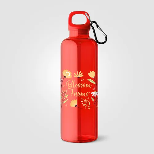 Gourde de vélo Doli, bouchon à vis avec mousqueton, rPET, 740 ml Gourde de vélo Doli, bouchon à vis avec mousqueton, rPET, 740 ml