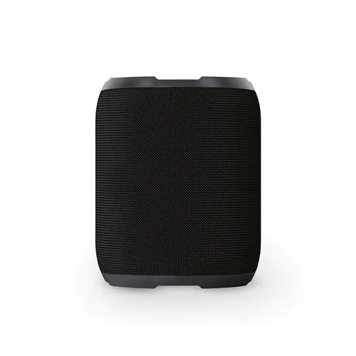 Avicenna Speaker Avicenna Speaker