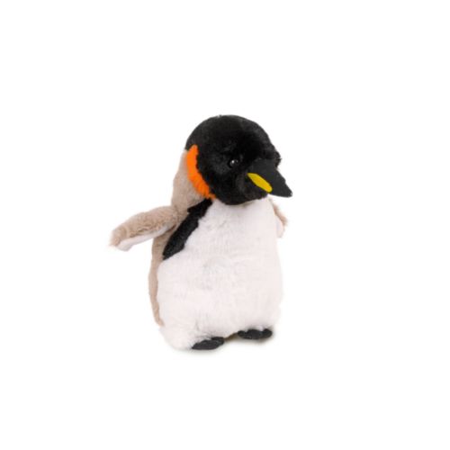 Peluche Peluche