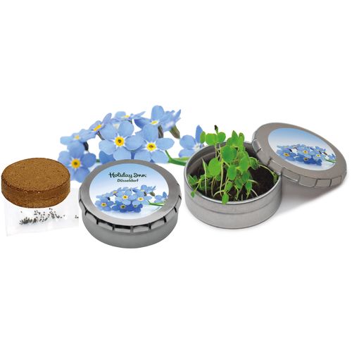 Boîte de graines Myosotis Boîte de graines Myosotis