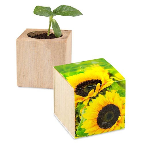Pflanz-Holz - Standardmotiv - Sonnenblume - ohne Lasergravur Pflanz-Holz - Standardmotiv - Sonnenblume - ohne Lasergravur
