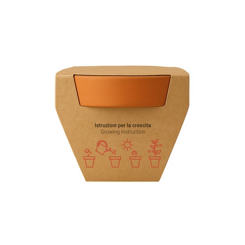 Natural terracotta pot with peat and biodegradable capsule containing seeds Natural terracotta pot with peat and biodegradable capsule containing seeds