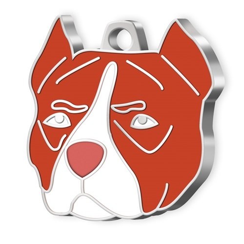 MEDAILLE CHIEN PITBULL FAUVE MEDAILLE CHIEN PITBULL FAUVE