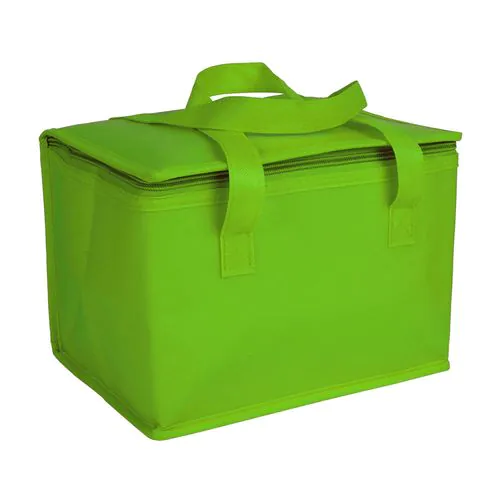 Laminated non-woven fabric cooler bag with silver interior