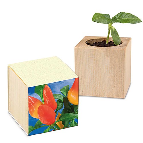 Pot cube - Piment Pot cube - Piment