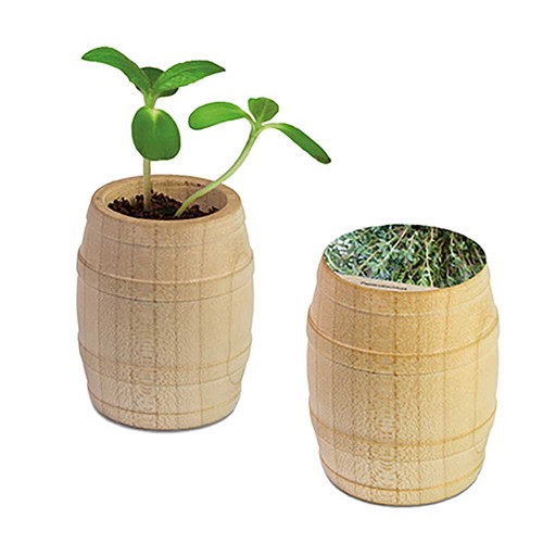 Mini-tonneau en bois avec graines - Thym