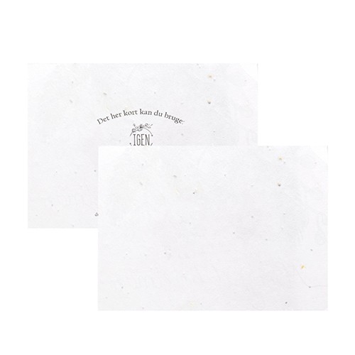 Ecological postcard Ficus Ecological postcard Ficus