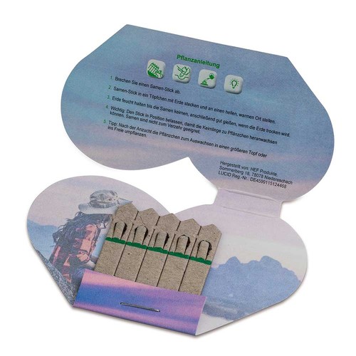 Bâtonnets de graines - coeur - Epicéa