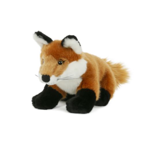 Peluche Peluche