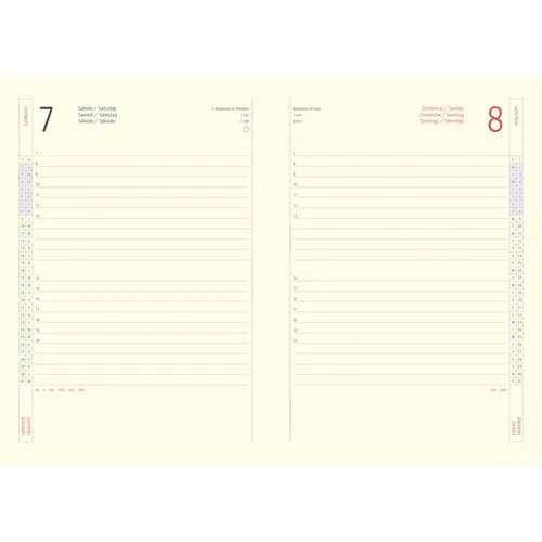 Diary with flexible cover - apple leather