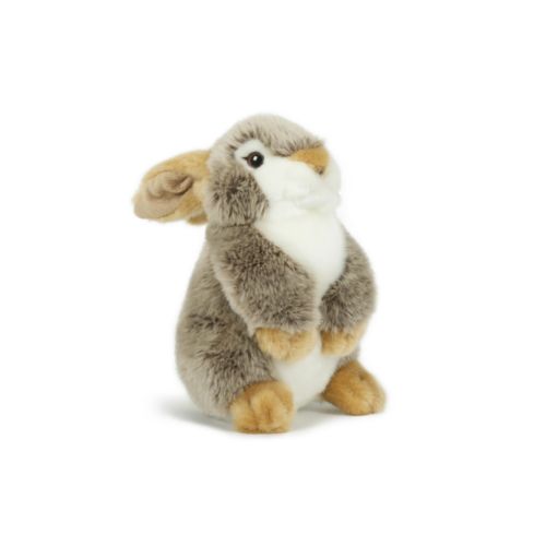 Peluche Peluche
