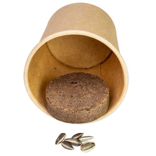 Plant-cube 2.0 with seeds - Christmas - Basil