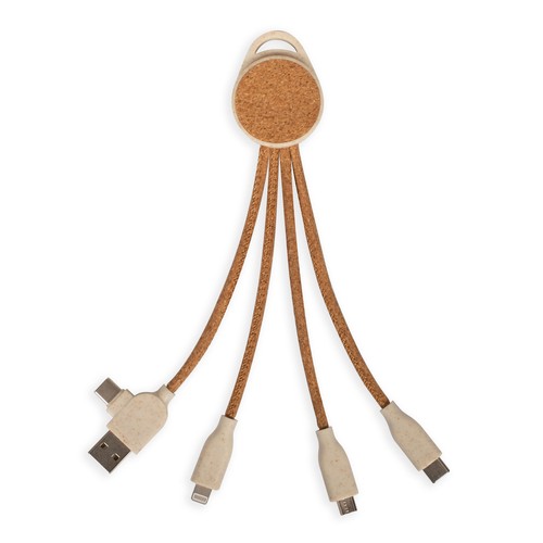 Câble de charge multi-embouts