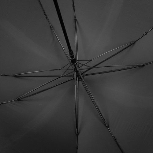 parasol parasol
