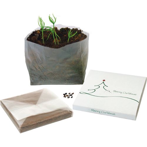 Growing Square Christmas Tree