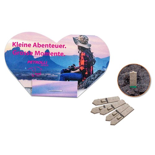 Bâtonnets de graines - coeur - Epicéa Bâtonnets de graines - coeur - Epicéa