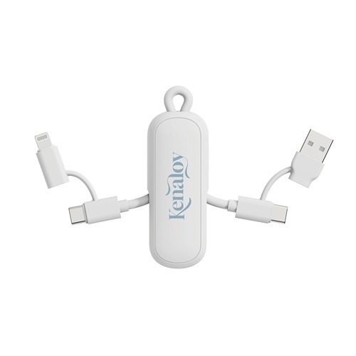 Câble 100W porte-clés 4-en-1 Urban Vitamin Dublin Câble 100W porte-clés 4-en-1 Urban Vitamin Dublin