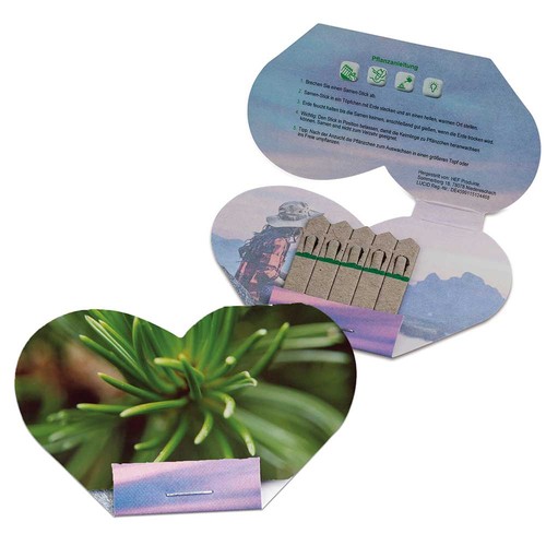 Bâtonnets de graines - coeur - Epicéa Bâtonnets de graines - coeur - Epicéa