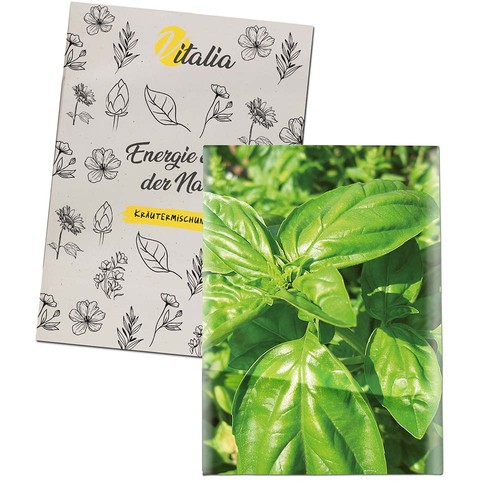 erbe aromatiche