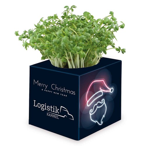 Plant-cube 2.0 with seeds - Christmas - Spruce Plant-cube 2.0 with seeds - Christmas - Spruce