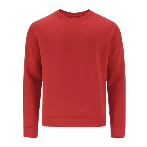 bluza