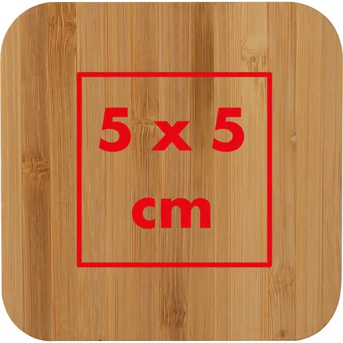 Bamboo Wireless Charger with 2 USB ports