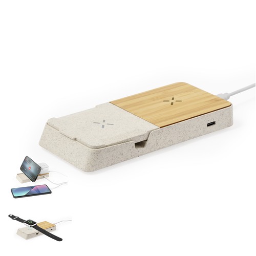 Charger Barichen