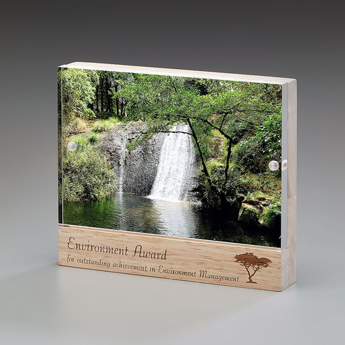 Wooden Magnet Award Wooden Magnet Award