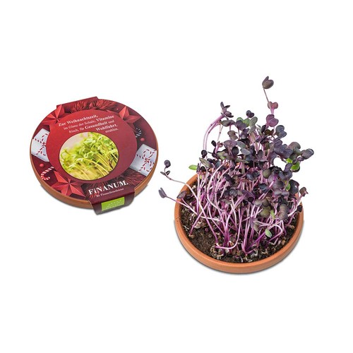 Bol de vitamines - Pousses de radis Sango Bol de vitamines - Pousses de radis Sango