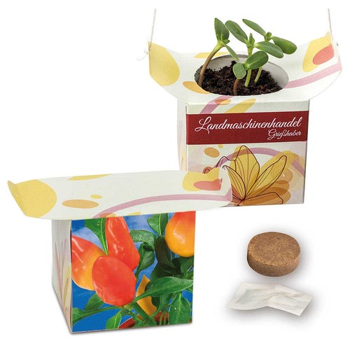 Hanging pot - Chilli