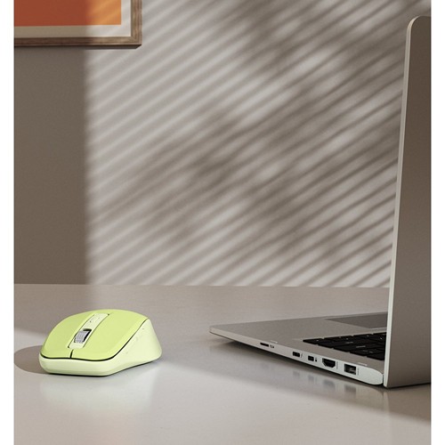 Souris sans fil Hama WM-450 Souris sans fil Hama WM-450