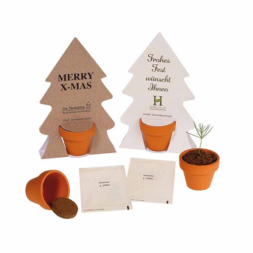 Tiny Tree - Kit de montage - Épicéa commun Tiny Tree - Kit de montage - Épicéa commun