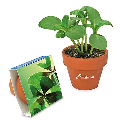 Logo-pot with seeds - teracotta - Four-leaf clover