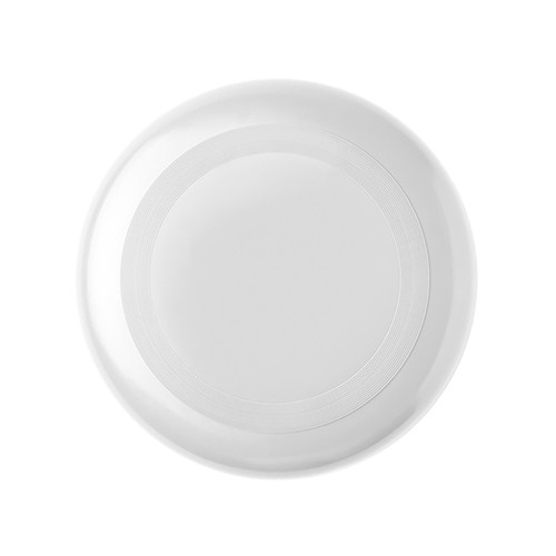 PP Frisbee Downi