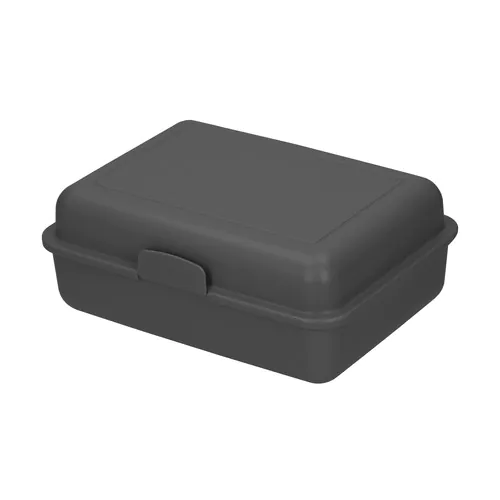 lunch box lunch box