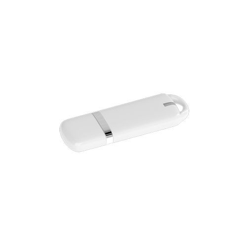 Plastic USB key Simple Priority