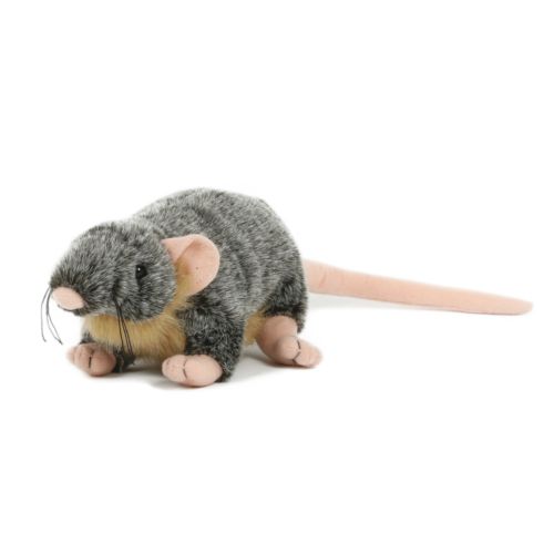 stuffed toy
