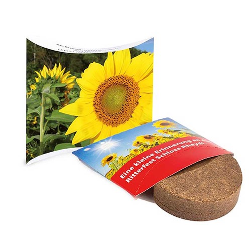 Set Berlingot avec graines - Tournesol