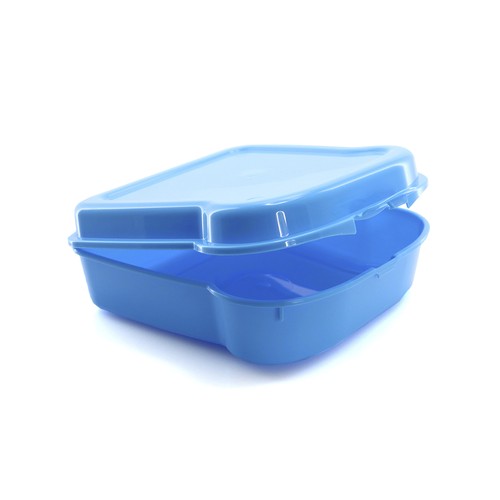 Sandwich Lunch Box Noix Sandwich Lunch Box Noix