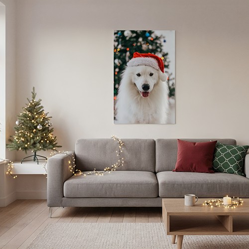 póster