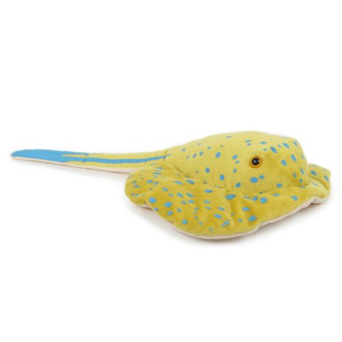 Raie à taches bleues, grande 53 cm Raie à taches bleues, grande 53 cm