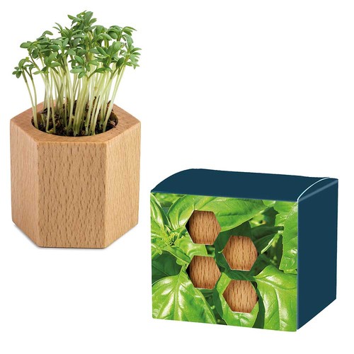 Houten plantenset Hexagon met zaden - Basilicum Houten plantenset Hexagon met zaden - Basilicum