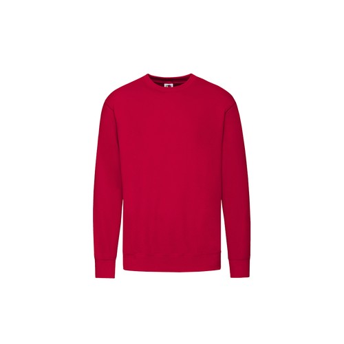 bluza