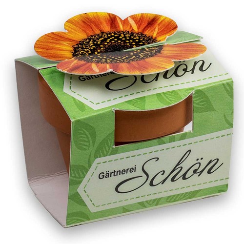 Mini pot terre cuite en fourreau fleur avec graines - Trèfle persan