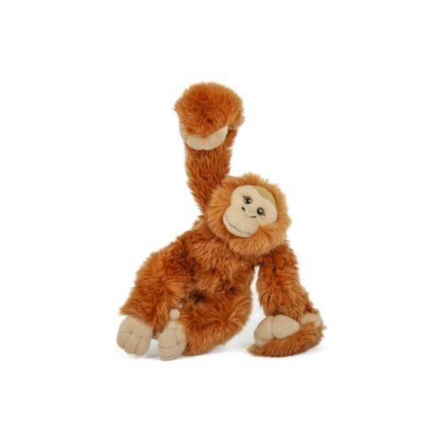 "SEMO-Acrobats" Orang Utan
