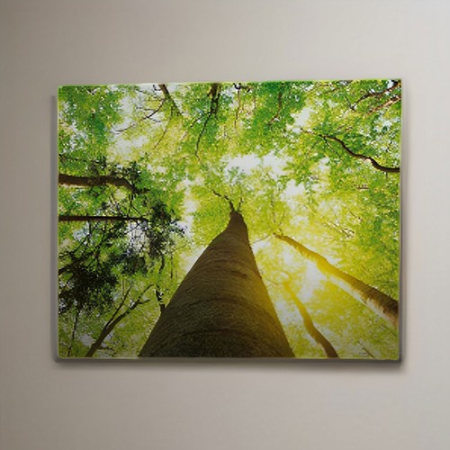 MAMPARA GRANDE ESTRUCTURA DE MADERA 40X60CM PERSONALIZABLE